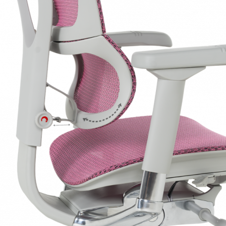 Ергономичен стол  ⋙ на цена от 1188.00лв  - Allegro-bg.com