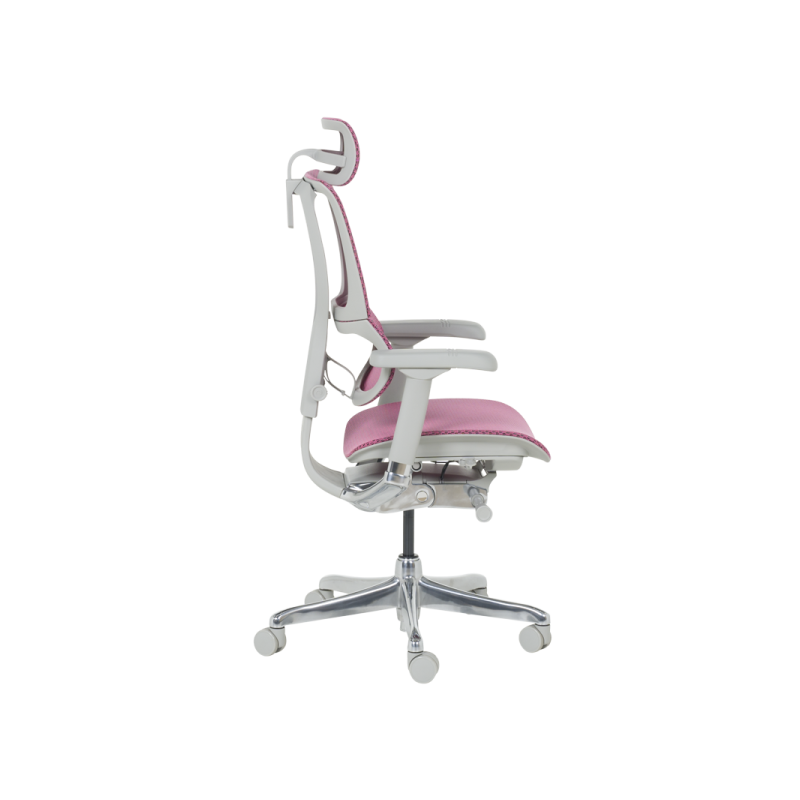 Ергономичен стол  ⋙ на цена от 1188.00лв  - Allegro-bg.com