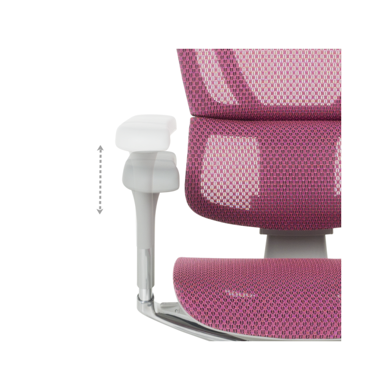 Ергономичен стол  ⋙ на цена от 1188.00лв  - Allegro-bg.com