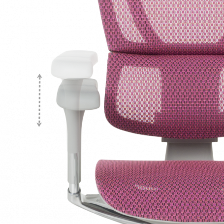 Ергономичен стол  ⋙ на цена от 1188.00лв  - Allegro-bg.com