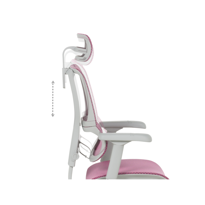 Ергономичен стол  ⋙ на цена от 1188.00лв  - Allegro-bg.com