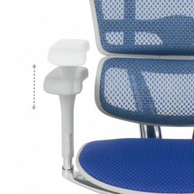 Ергономичен стол  ⋙ на цена от 1389.60лв  - Allegro-bg.com 2