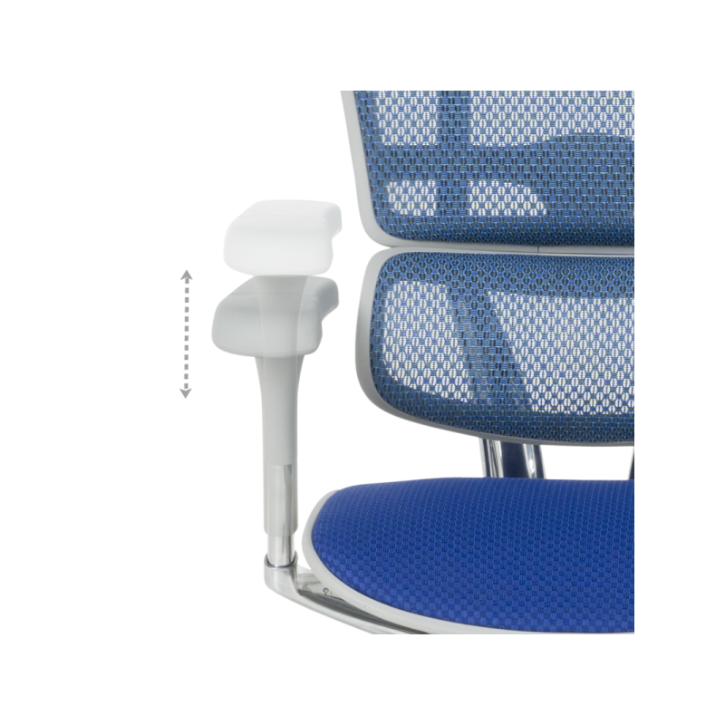 Ергономичен стол  ⋙ на цена от 1389.60лв  - Allegro-bg.com