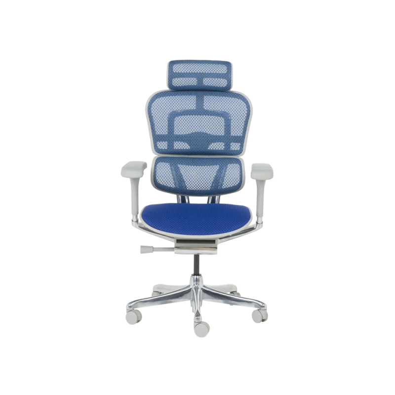 Ергономичен стол  ⋙ на цена от 1389.60лв  - Allegro-bg.com