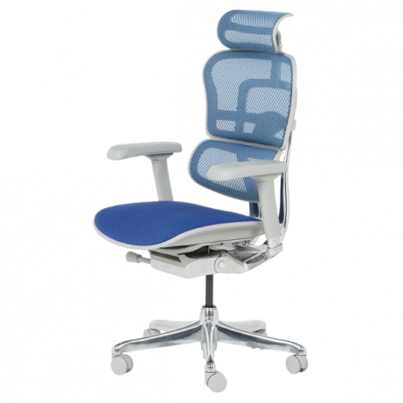 Ергономичен стол  ⋙ на цена от 1389.60лв  - Allegro-bg.com