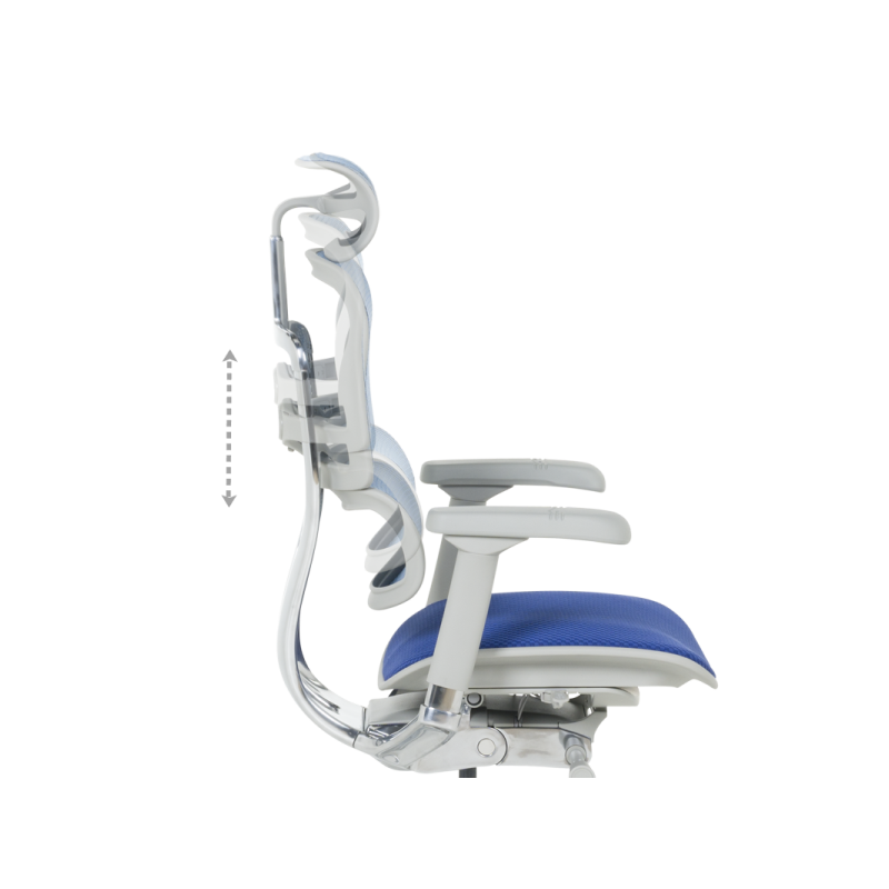 Ергономичен стол  ⋙ на цена от 1389.60лв  - Allegro-bg.com