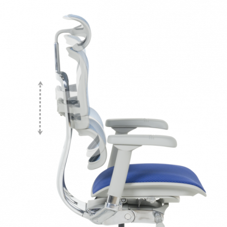 Ергономичен стол  ⋙ на цена от 1389.60лв  - Allegro-bg.com