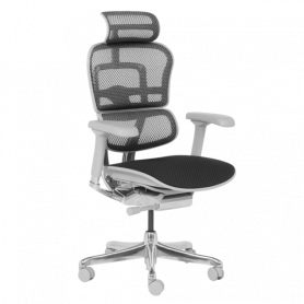 Ергономичен стол  ⋙ на цена от 1389.60лв  - Allegro-bg.com