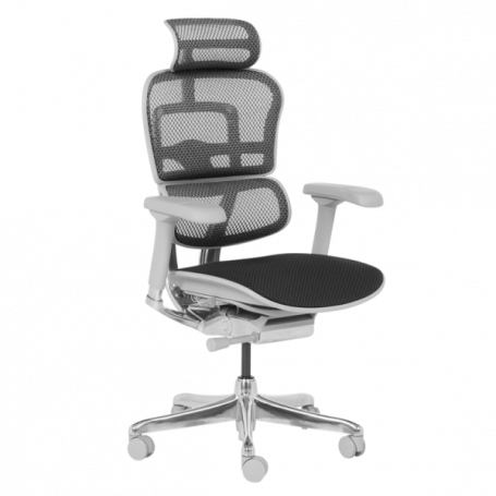 Ергономичен стол  ⋙ на цена от 1389.60лв  - Allegro-bg.com