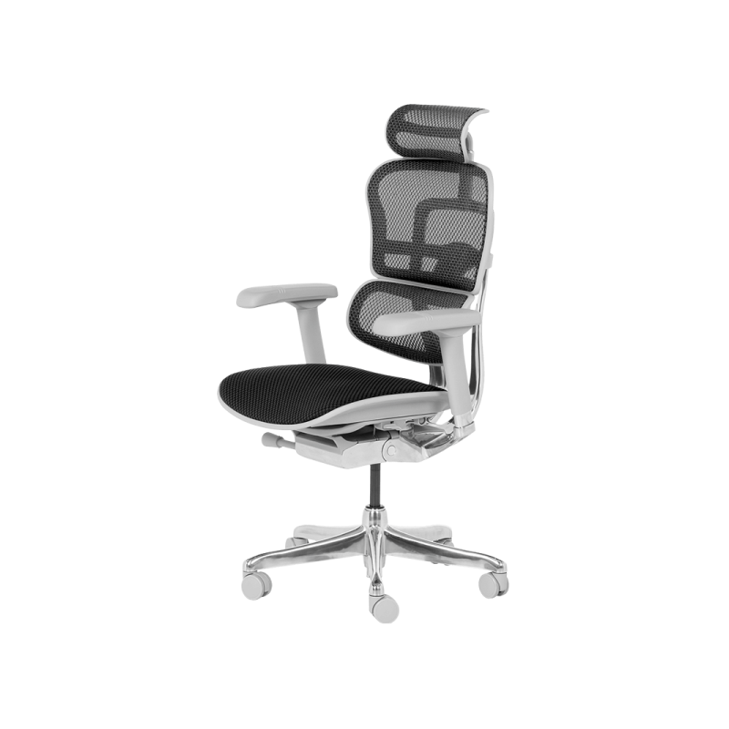 Ергономичен стол  ⋙ на цена от 1389.60лв  - Allegro-bg.com