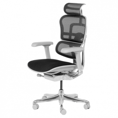 Ергономичен стол  ⋙ на цена от 1389.60лв  - Allegro-bg.com