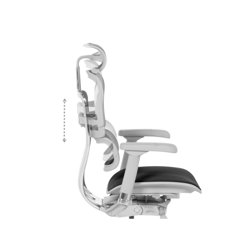 Ергономичен стол  ⋙ на цена от 1389.60лв  - Allegro-bg.com