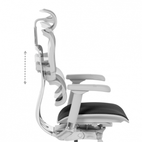 Ергономичен стол  ⋙ на цена от 1389.60лв  - Allegro-bg.com