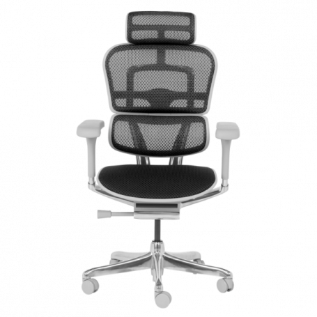 Ергономичен стол  ⋙ на цена от 1389.60лв  - Allegro-bg.com