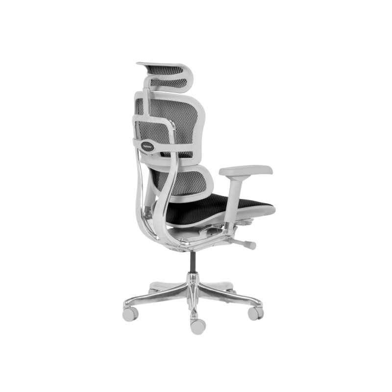 Ергономичен стол  ⋙ на цена от 1389.60лв  - Allegro-bg.com