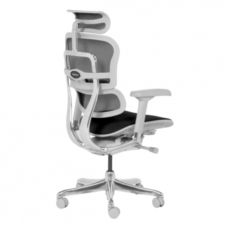 Ергономичен стол  ⋙ на цена от 1389.60лв  - Allegro-bg.com