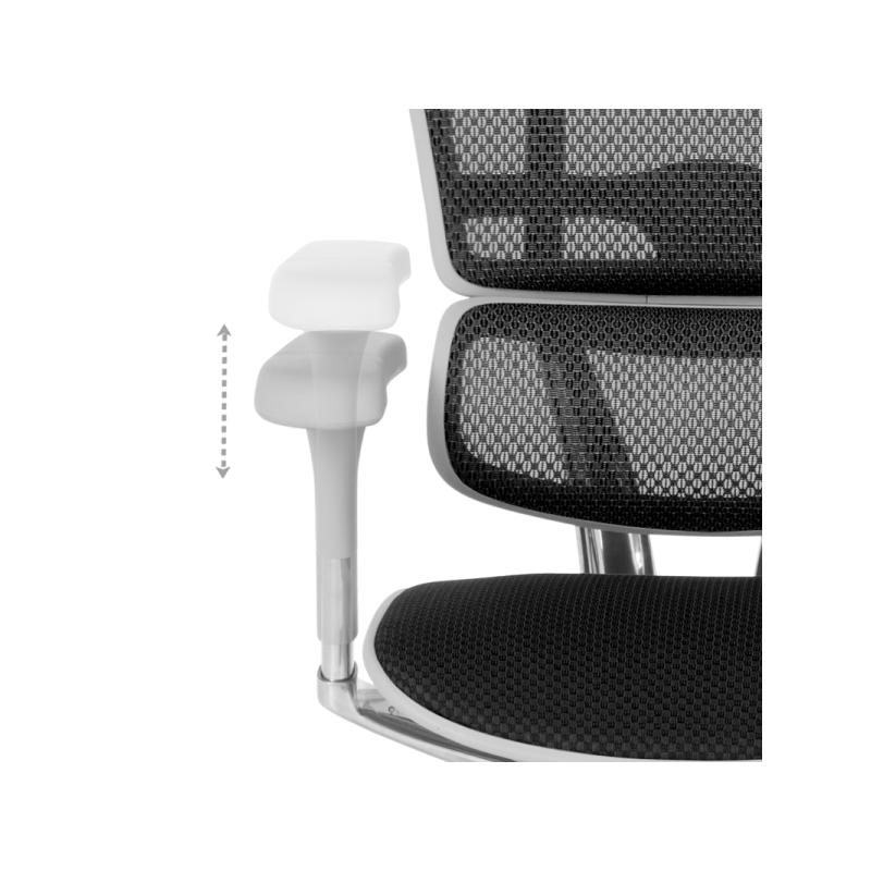 Ергономичен стол  ⋙ на цена от 1389.60лв  - Allegro-bg.com