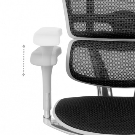 Ергономичен стол  ⋙ на цена от 1389.60лв  - Allegro-bg.com