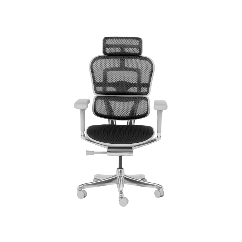 Ергономичен стол  ⋙ на цена от 1389.60лв  - Allegro-bg.com