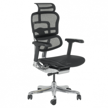 Ергономичен стол  ⋙ на цена от 1389.60лв  - Allegro-bg.com