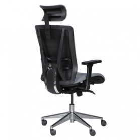 Ергономичен стол COTIA  ⋙ на цена от 780.00лв  - Allegro-bg.com 2