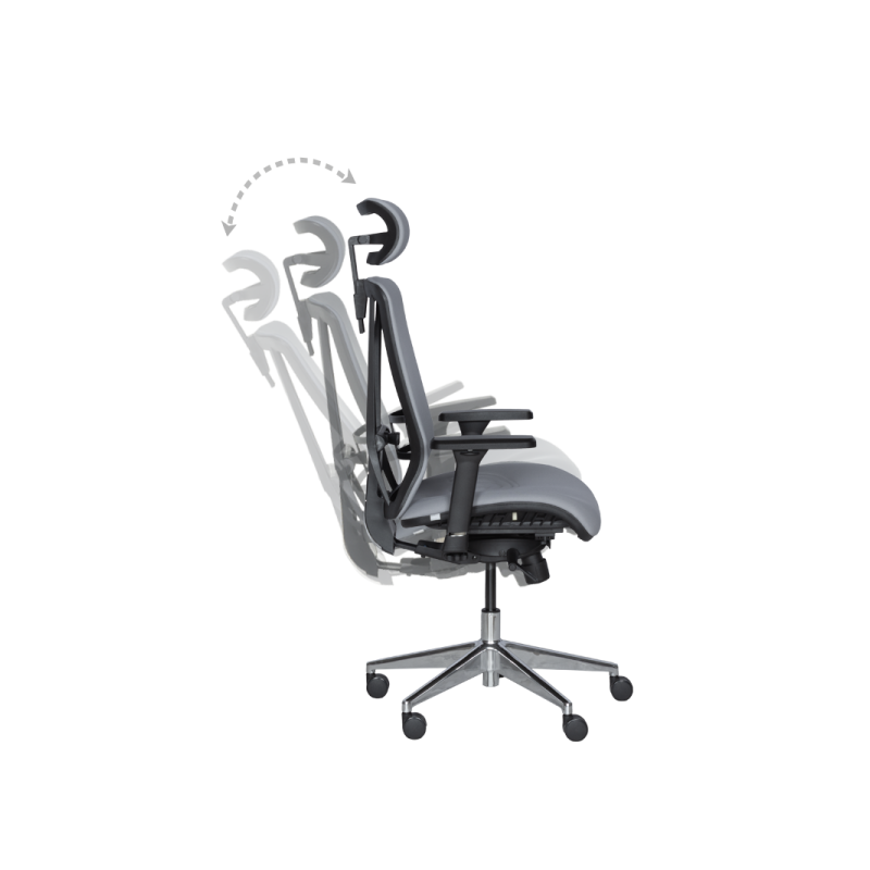 Ергономичен стол COTIA  ⋙ на цена от 780.00лв  - Allegro-bg.com