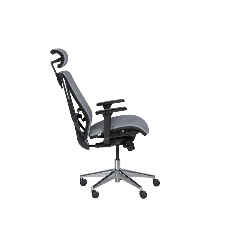 Ергономичен стол COTIA  ⋙ на цена от 780.00лв  - Allegro-bg.com