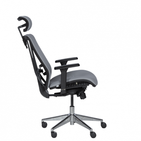 Ергономичен стол COTIA  ⋙ на цена от 780.00лв  - Allegro-bg.com