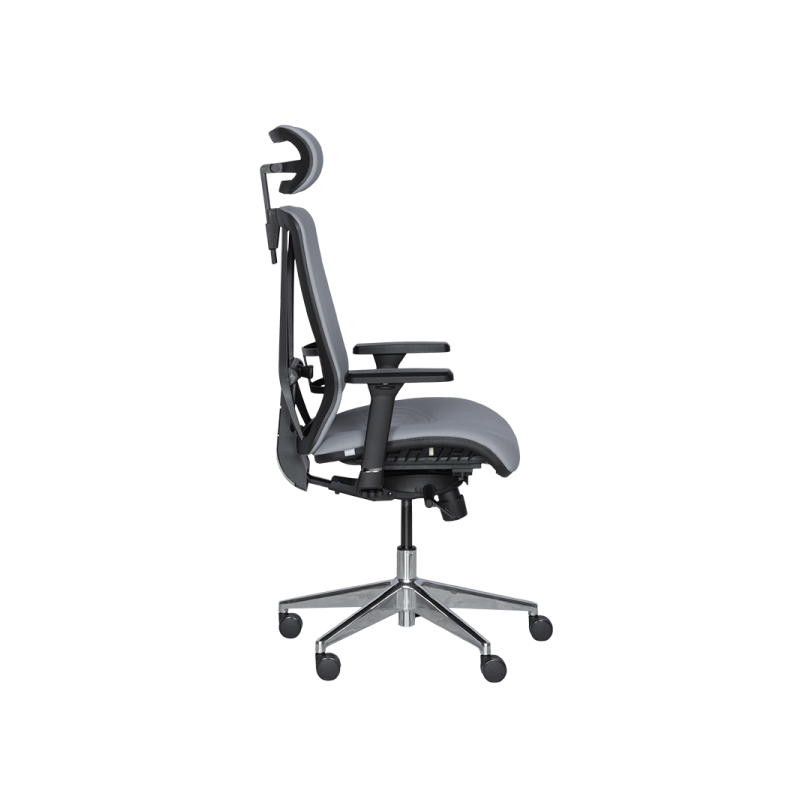 Ергономичен стол COTIA  ⋙ на цена от 780.00лв  - Allegro-bg.com