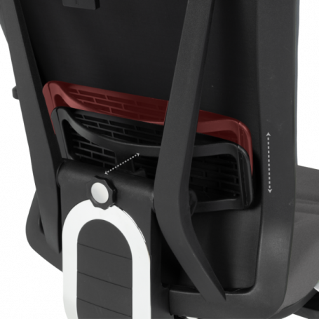 Ергономичен стол COTIA  ⋙ на цена от 780.00лв  - Allegro-bg.com