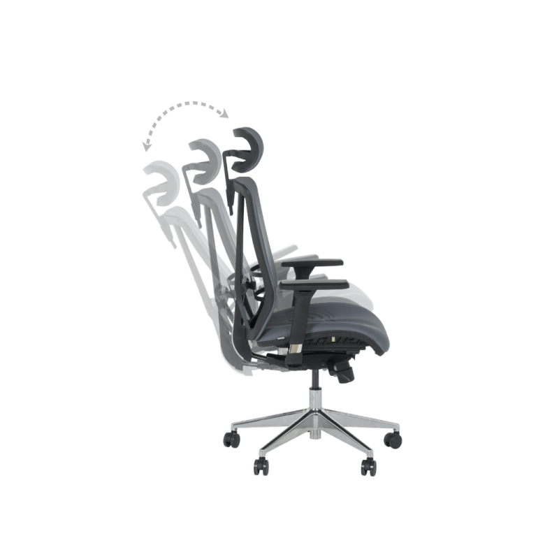 Ергономичен стол COTIA  ⋙ на цена от 780.00лв  - Allegro-bg.com