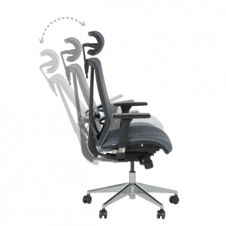 Ергономичен стол COTIA  ⋙ на цена от 780.00лв  - Allegro-bg.com