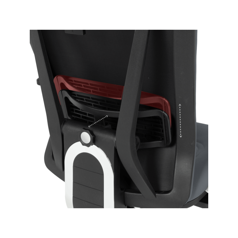 Ергономичен стол COTIA  ⋙ на цена от 780.00лв  - Allegro-bg.com