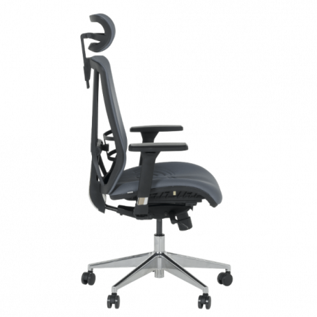 Ергономичен стол COTIA  ⋙ на цена от 780.00лв  - Allegro-bg.com