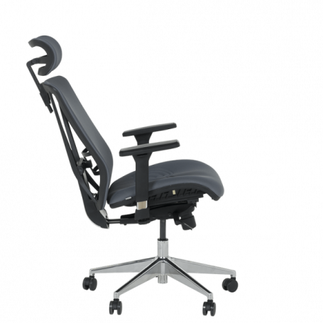 Ергономичен стол COTIA  ⋙ на цена от 780.00лв  - Allegro-bg.com