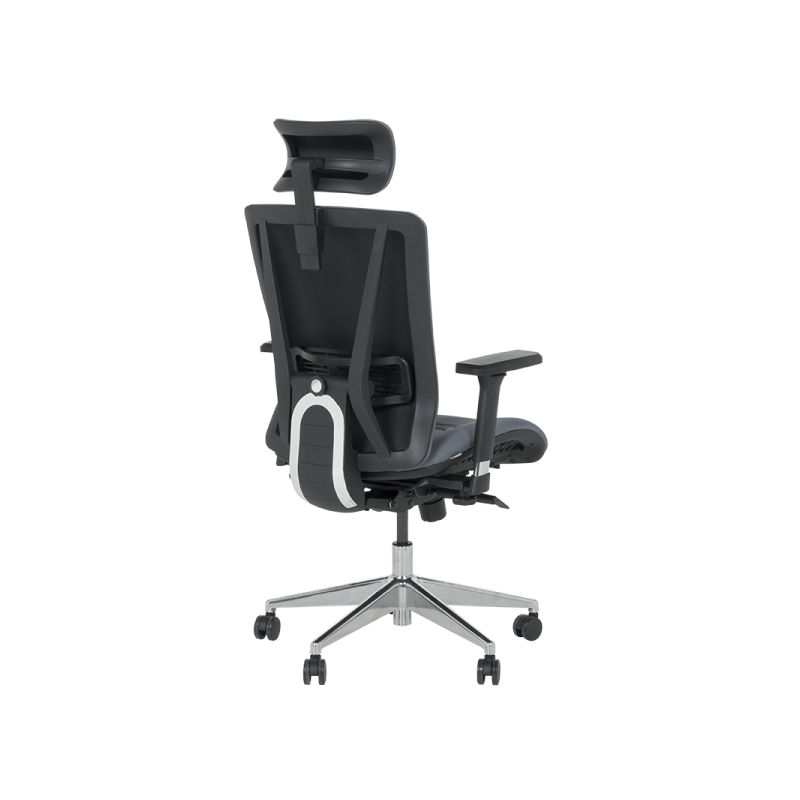 Ергономичен стол COTIA  ⋙ на цена от 780.00лв  - Allegro-bg.com