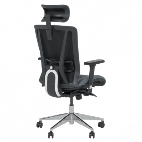 Ергономичен стол COTIA  ⋙ на цена от 780.00лв  - Allegro-bg.com