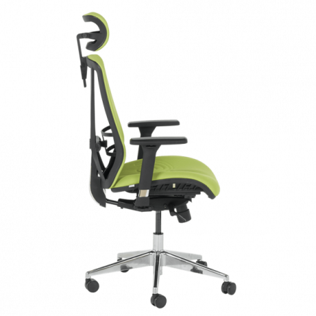 Ергономичен стол COTIA  ⋙ на цена от 780.00лв  - Allegro-bg.com