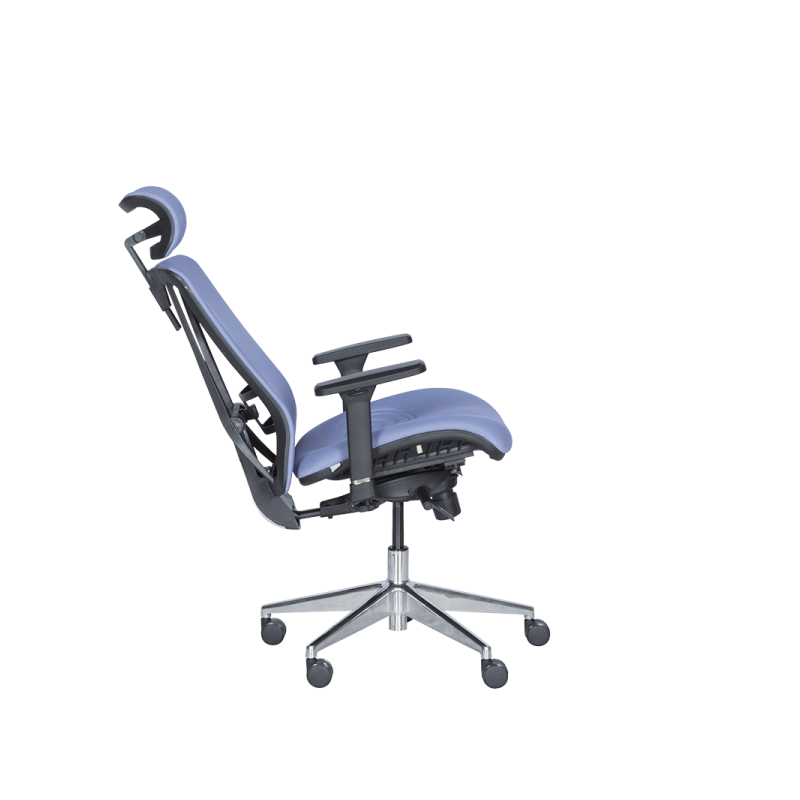 Ергономичен стол COTIA  ⋙ на цена от 780.00лв  - Allegro-bg.com