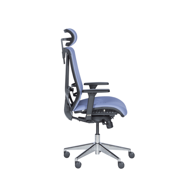 Ергономичен стол COTIA  ⋙ на цена от 780.00лв  - Allegro-bg.com