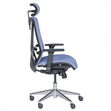 Ергономичен стол COTIA  ⋙ на цена от 780.00лв  - Allegro-bg.com