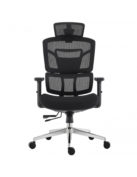 Ергономичен стол Carmen  ⋙ на цена от 378.00лв  - Allegro-bg.com