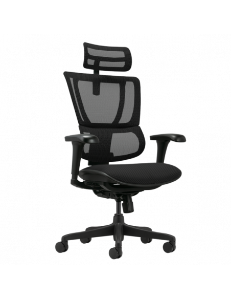 Ергономичен стол  ⋙ на цена от 636.00лв  - Allegro-bg.com