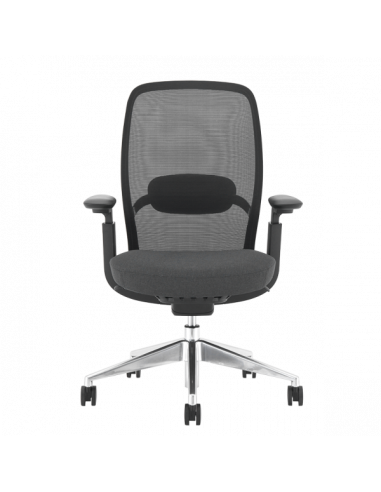 Ергономичен стол HORGEN  ⋙ на цена от 588.00лв  - Allegro-bg.com