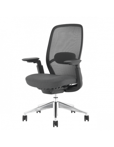 Ергономичен стол HORGEN  ⋙ на цена от 588.00лв  - Allegro-bg.com