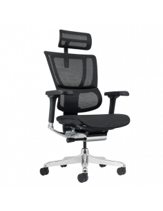 Ергономичен стол  ⋙ на цена от 1389.60лв  - Allegro-bg.com