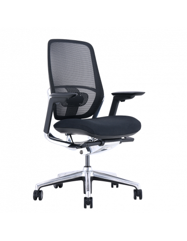 Ергономичен стол KLOTEN  ⋙ на цена от 888.00лв  - Allegro-bg.com