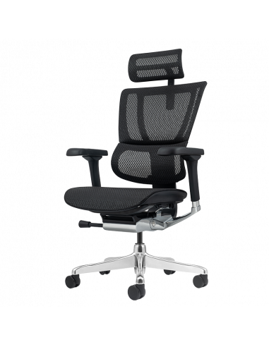 Ергономичен стол  ⋙ на цена от 1389.60лв  - Allegro-bg.com