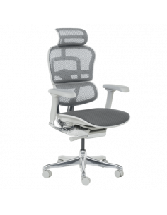 Ергономичен стол  ⋙ на цена от 1389.60лв  - Allegro-bg.com