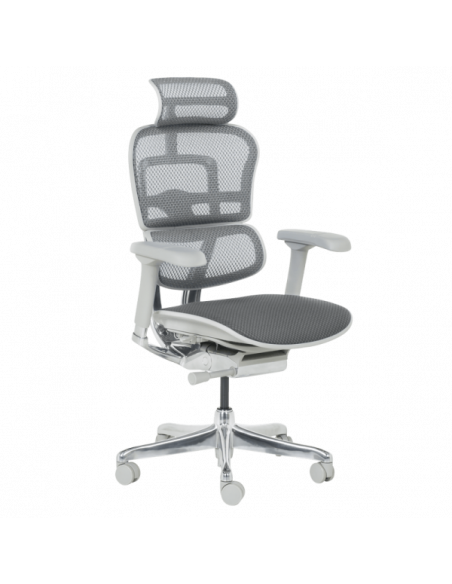 Ергономичен стол  ⋙ на цена от 1389.60лв  - Allegro-bg.com